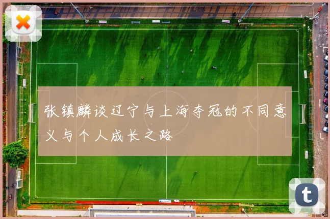张镇麟谈辽宁与上海夺冠的不同意义与个人成长之路